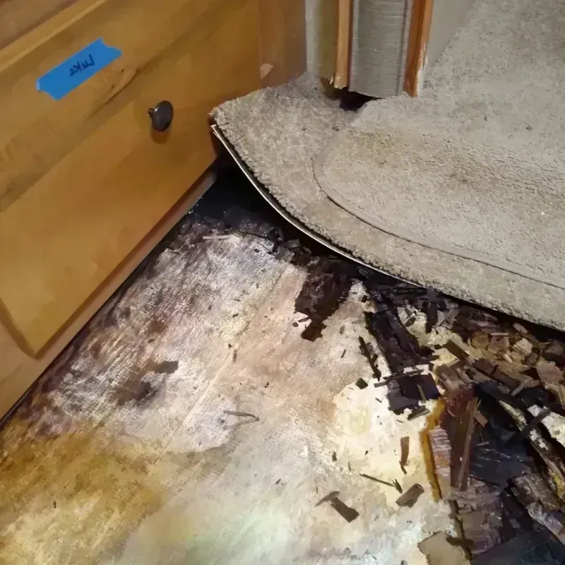 Wood Floor Water Damage in City of Chesapeake, VA